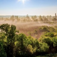 Освещенная солнечными лучами.. :: Юрий Стародубцев