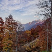 Осенние горы :: Олеся Семенова