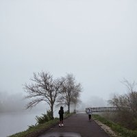 The fog :: Марина Романова