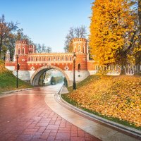 Фигурный мост осенью :: Юлия Батурина