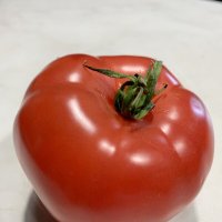 Tomato :: Ольга Пронина