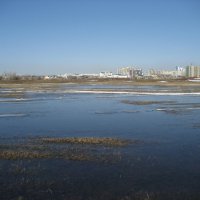 Лед на полях :: Anna Ivanova