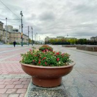 Московская площадь :: Елена Вишневская