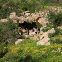 Пещера на горе Кармель. Север Израиля. И тут неандертальцы наследили. :: сашка ярмарков