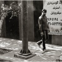 Иран, Тегеран :: Борис Тур