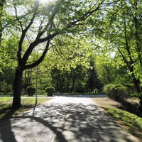 В Южном парке :: Маргарита Батырева