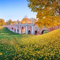 Мост через овраг :: Юлия Батурина