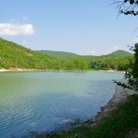 Озеро с кипарисами :: Вера Щукина