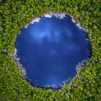Призрак лесного озера :: Валерий Горбунов