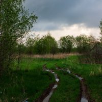 Пасмурный весенний пейзаж :: Александр Синдерёв