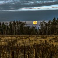 Сижу среди ночи при полной луне, не спится… не спится… не спиться бы мне… :: Валерий Иванович