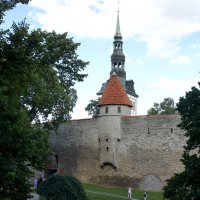 Талли — башня крепостной стены Таллина :: Елена Павлова (Смолова)
