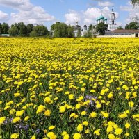 Весна ярославская, возле Толгского монастыря :: Николай Белавин