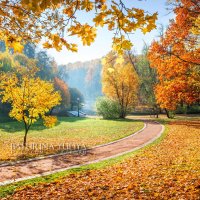 Осенняя дорожка в парке :: Юлия Батурина