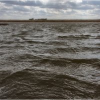 Река Ишим. Наводнение :: Александр Максимов