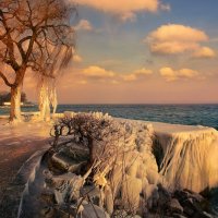 Зима на Боденском озере :: Elena Wymann