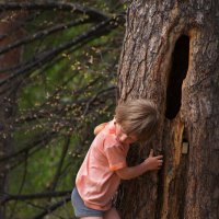 Девочка, держащаяся за ствол дерева :: Денис Виленский