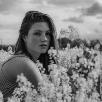 Девушка в цветущем поле. :: Roman Zateshilov