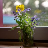 Увядающий букет полевых цветов. :: Андрей Дурапов