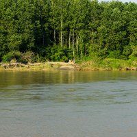 Река Кубань :: Игорь Сикорский