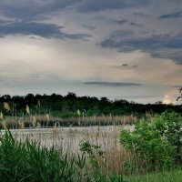 Нежные краски заката. :: Восковых Анна Васильевна 