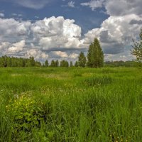 В летнем поле с облаками :: Валерий Иванович