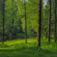 Подмосковные Пейзажи :: юрий поляков