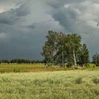 Предгрозье :: Виктор Четошников