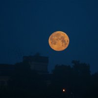 О, эта полная луна... :: Светлана Карнаух
