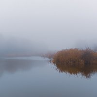 Осенний туман... :: Юрий ЛМ