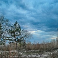 Небеса :: Анатолий Михайлович