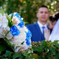 Букет невесты :: Владимир Помазан