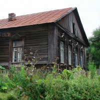 Старый дом со скворечниками. :: ANNA POPOVA