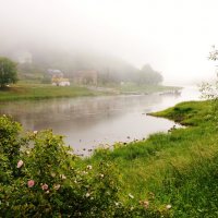 Туман над  рекой, Эльбой стелется,и солнышко  встает  ! :: backareva.irina Бакарева