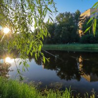 Воронцовский сквер Санкт-Петербург :: Роман Алексеев