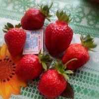 Крупные и ароматные ягоды... :: Тамара Бедай 