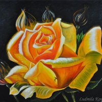 Солнечная роза, масло, 50х60 :: Людмила Ковалева