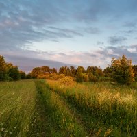 Пейзаж :: Александр Синдерёв