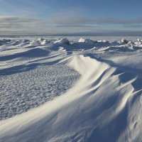 Северодвинск. Хорошая погода на Белом море летом и зимой :: Владимир Шибинский