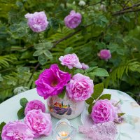 Розы на круглом столике :: Ольга Бекетова