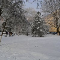 Шахты. Сквер на площади Ленина зимой. :: Пётр Чернега