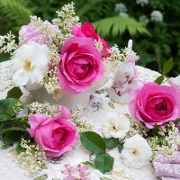 Розовые и белые розы :: Ольга Бекетова