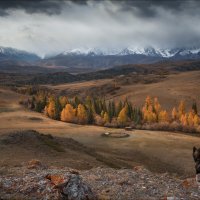 Созерцая красоту .. :: Влад Соколовский