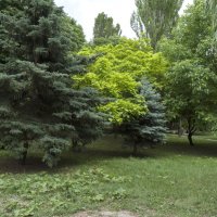 В Гагаринском  парке :: Валентин Семчишин