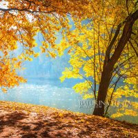 Солнечные листья :: Юлия Батурина