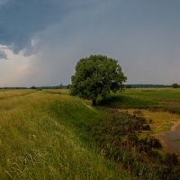 Перед грозой :: Андрей Дворников