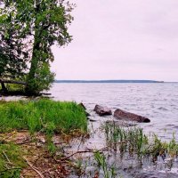 Озеро Селигер :: Raduzka (Надежда Веркина)