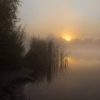 Утро на реке Тобол. :: Pavel Vasilev