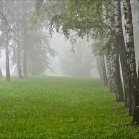 Туман в городе :: Валентина *