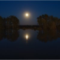 Наводнение. Тихая лунная ночь над рекой Ишим :: Александр Максимов